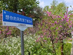 -南汇桃花村