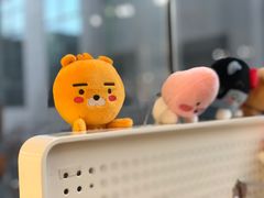 -KAKAO FRIENDS(弘大店)