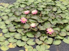 -丝绸小镇荻港古村