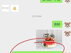 -安妮贝可生日蛋糕(市中万达店)