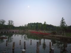 -昆山城市生态森林公园