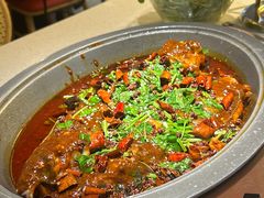 -黔渔翁豆花渎鱼(喷水池店)