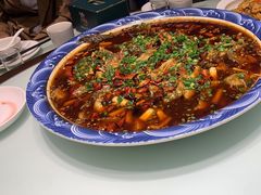 -新概念来凤鱼(璧山店)