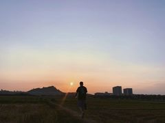 -光明小镇欢乐田园