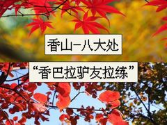 -香山公园