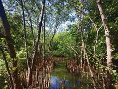 -白沙门生态公园