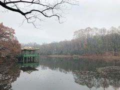 -灵谷景区