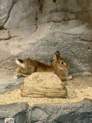 -Zoolung Zoolung动物主题公园(海信广场店)