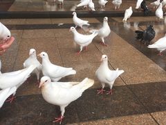 -和生记牛肉火勺店(汇兴家园店)