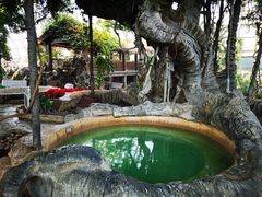 -盛泰恐龙谷温泉