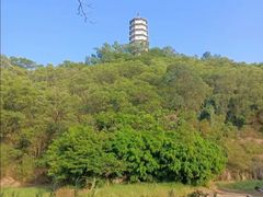 -深圳国际园林花卉博览园