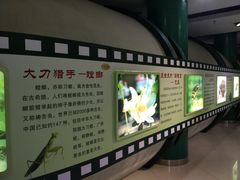 -上海昆虫博物馆