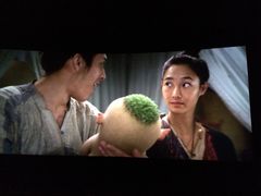 华夏国际影城(鲁广店)-武汉华夏国际影城(鲁广店)