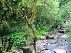 -西岭雪山大飞水景区