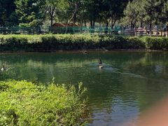 -长白岛森林公园