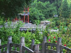 -晋祠公园