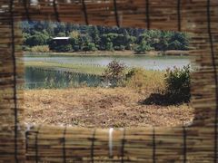 -华侨城湿地公园