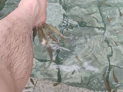 -汤山一号温泉度假区