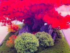 -海韵之星邮轮水会(明发商业广场店)