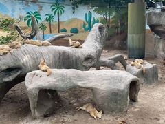 -上海野生动物园