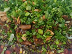 -春涛餐馆(下坝店)