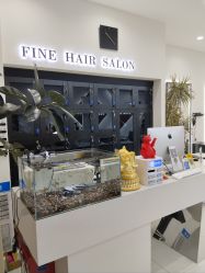 -FINE HAIR 烫染专业设计