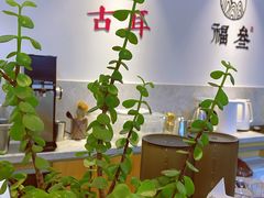 -古耳咖啡(北锣店)