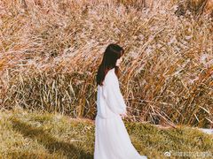 -羊亭河湿地公园