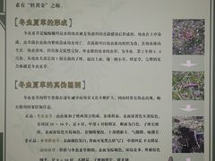 -北京中医药大学-中医药博物馆