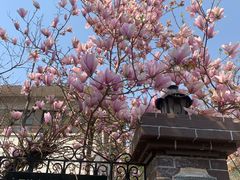 -天津五大道文化旅游区