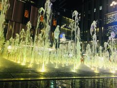 -润园四季椰子鸡火锅(海上世界店)
