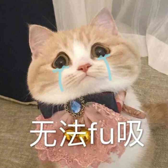 amazing 颂-"湖滨路的ins风法甜店,外面看有点不好找.