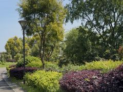 -张坝桂圆林公园