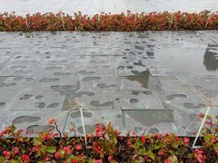 -星海广场