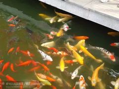 -石家庄市植物园