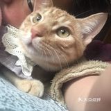 一个月看不到我儿子了[流泪]