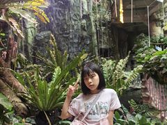 -正佳雨林生态植物园