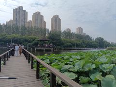 -前关湿地公园