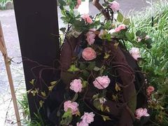 -杭州第一世界大酒店·云曼温泉