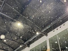 -Mr·Kuma酷么先生雪之乐园