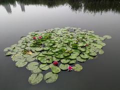 -前关湿地公园