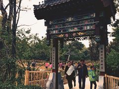 -迎泽公园