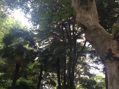 -华山儿童公园