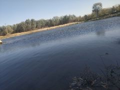-东郊湿地公园