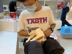 -lincat·猫舍(广州店)