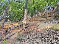 -灵岩山风景区