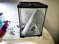 -瑞虹新天地月亮湾