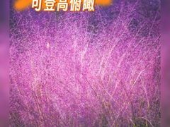 -嘉北郊野公园
