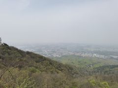 -紫金山山顶公园
