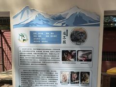-青藏高原野生动物园
